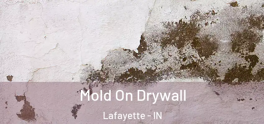  Mold On Drywall Lafayette - IN