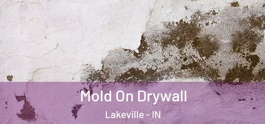  Mold On Drywall Lakeville - IN