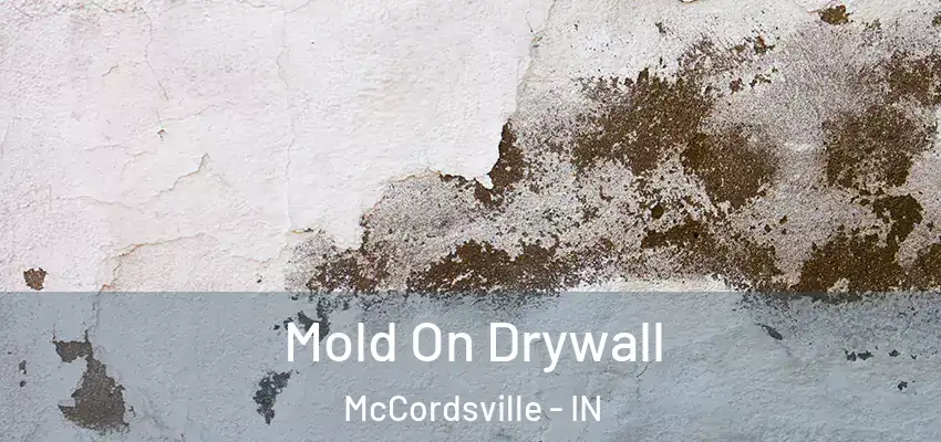  Mold On Drywall McCordsville - IN