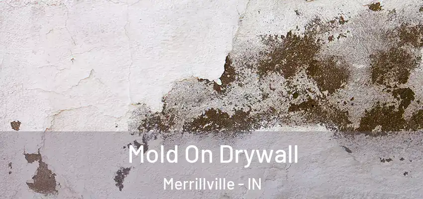  Mold On Drywall Merrillville - IN