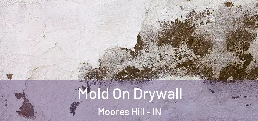 Mold On Drywall Moores Hill - IN