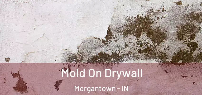 Mold On Drywall Morgantown - IN