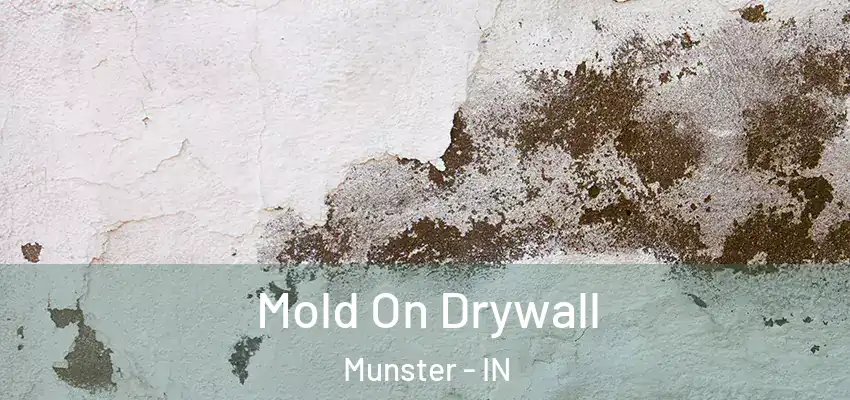  Mold On Drywall Munster - IN