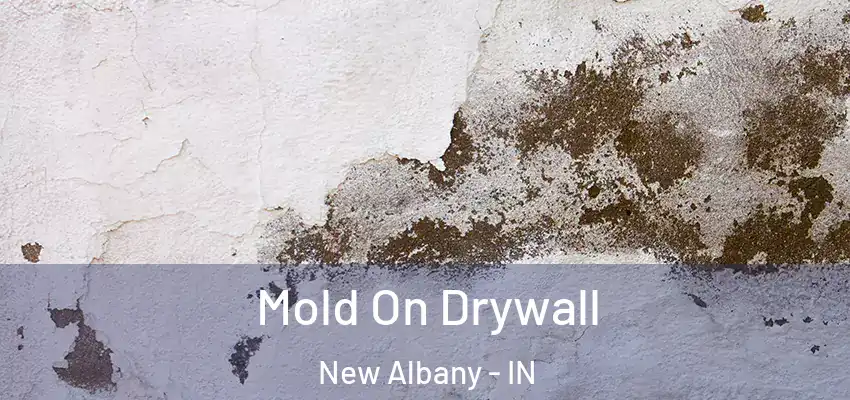  Mold On Drywall New Albany - IN