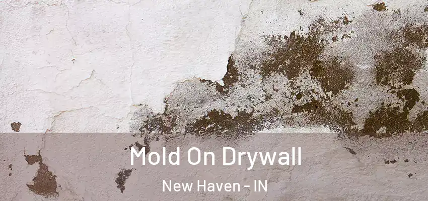 Mold On Drywall New Haven - IN