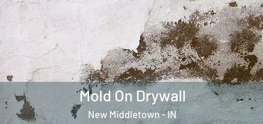  Mold On Drywall New Middletown - IN