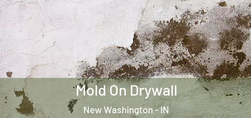  Mold On Drywall New Washington - IN