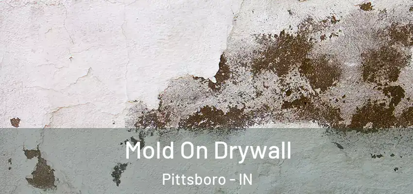 Mold On Drywall Pittsboro - IN