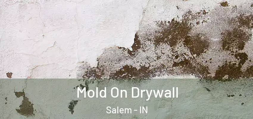  Mold On Drywall Salem - IN