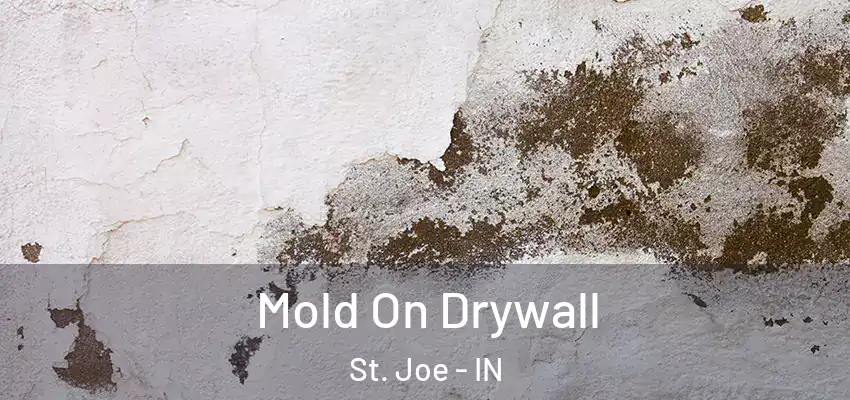  Mold On Drywall St. Joe - IN