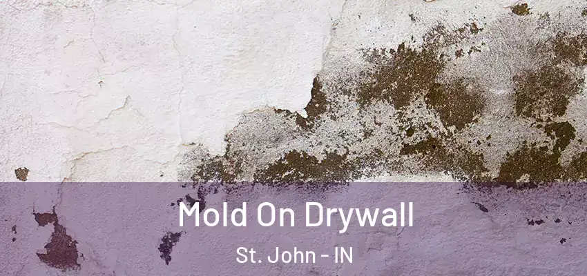  Mold On Drywall St. John - IN