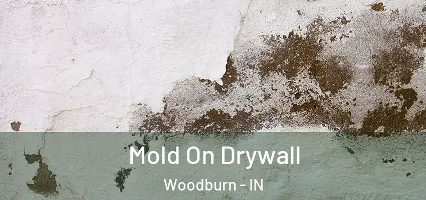  Mold On Drywall Woodburn - IN