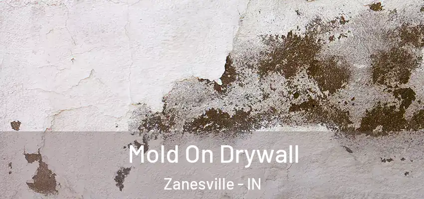  Mold On Drywall Zanesville - IN