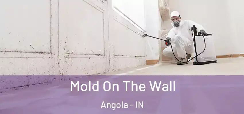  Mold On The Wall Angola - IN