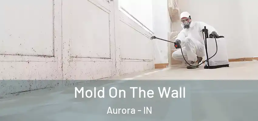 Mold On The Wall Aurora - IN
