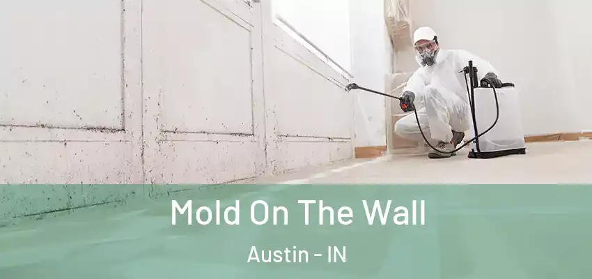  Mold On The Wall Austin - IN
