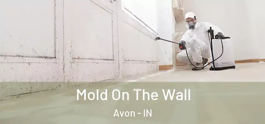  Mold On The Wall Avon - IN