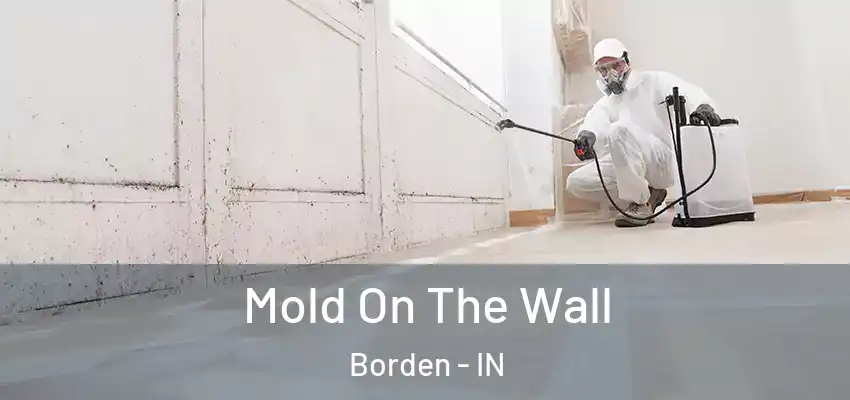  Mold On The Wall Borden - IN