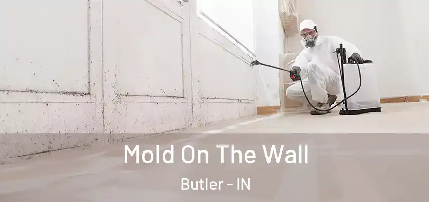  Mold On The Wall Butler - IN