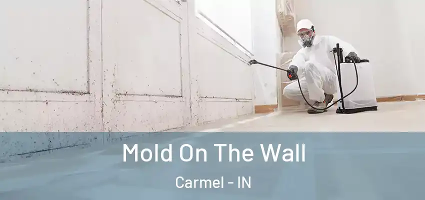  Mold On The Wall Carmel - IN