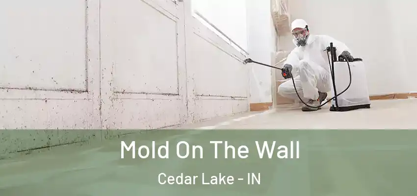  Mold On The Wall Cedar Lake - IN