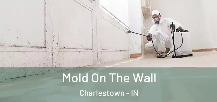 Mold On The Wall Charlestown - IN