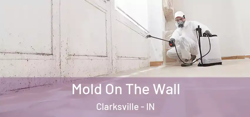 Mold On The Wall Clarksville - IN