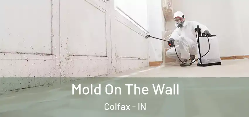  Mold On The Wall Colfax - IN