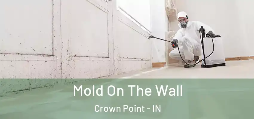  Mold On The Wall Crown Point - IN