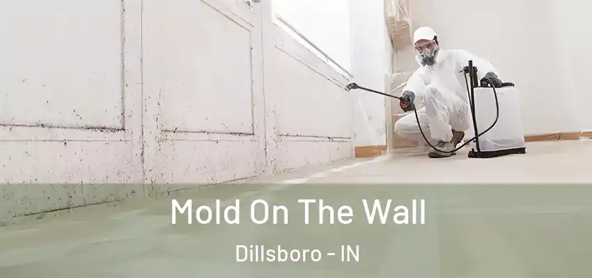 Mold On The Wall Dillsboro - IN