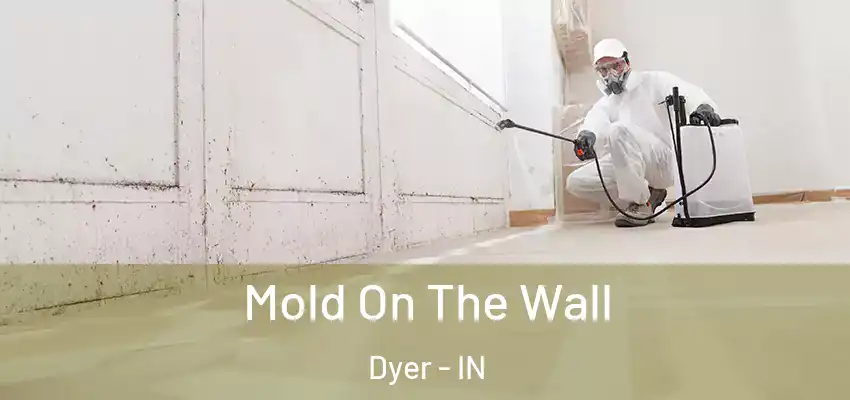 Mold On The Wall Dyer - IN