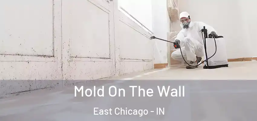 Mold On The Wall East Chicago - IN
