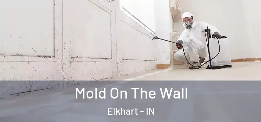  Mold On The Wall Elkhart - IN