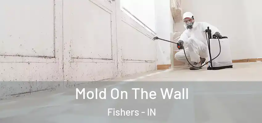  Mold On The Wall Fishers - IN