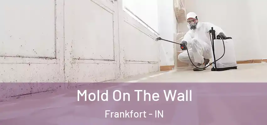 Mold On The Wall Frankfort - IN