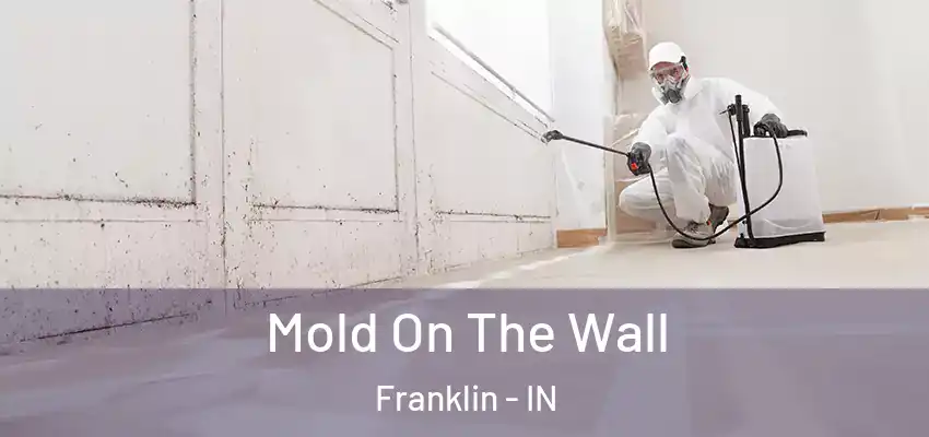 Mold On The Wall Franklin - IN