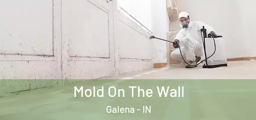  Mold On The Wall Galena - IN