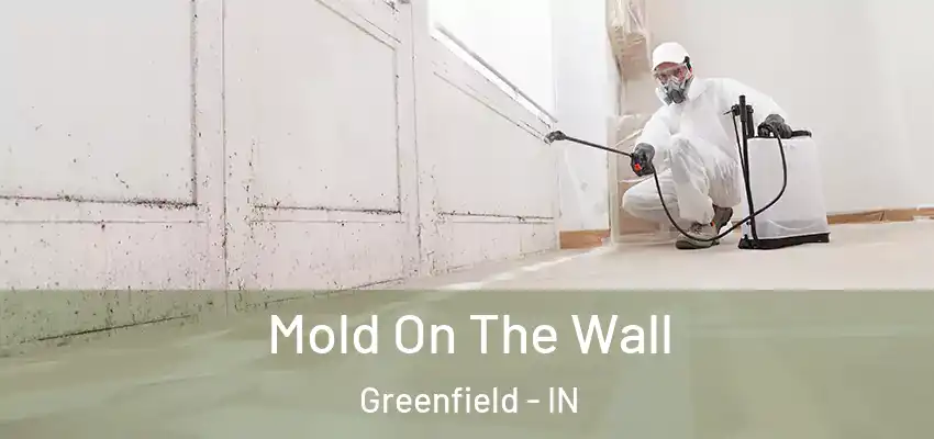 Mold On The Wall Greenfield - IN