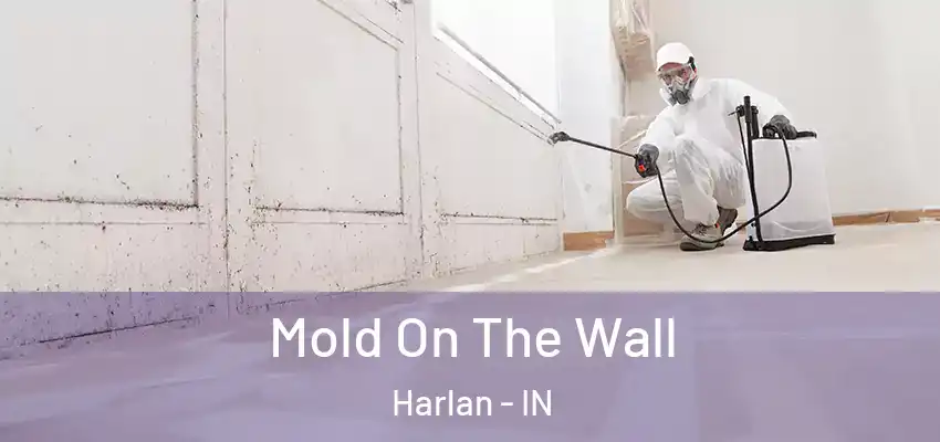  Mold On The Wall Harlan - IN