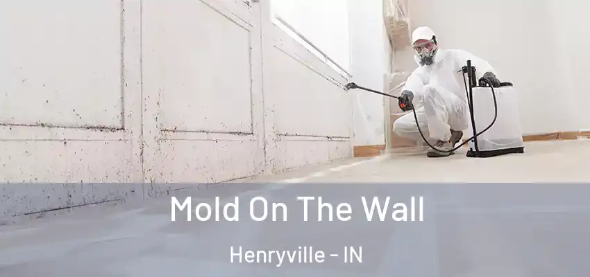 Mold On The Wall Henryville - IN