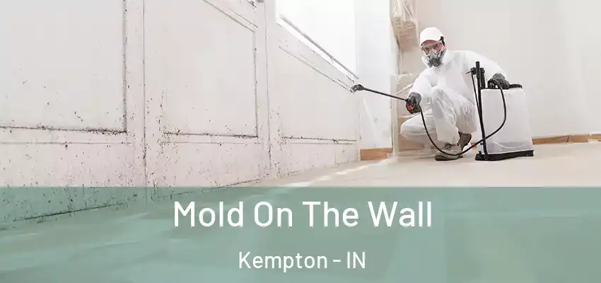Mold On The Wall Kempton - IN