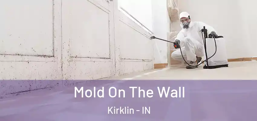 Mold On The Wall Kirklin - IN