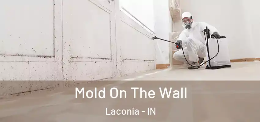  Mold On The Wall Laconia - IN