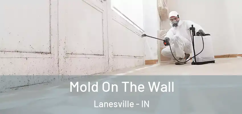  Mold On The Wall Lanesville - IN