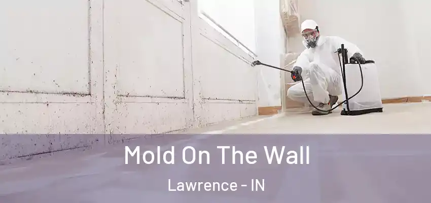  Mold On The Wall Lawrence - IN