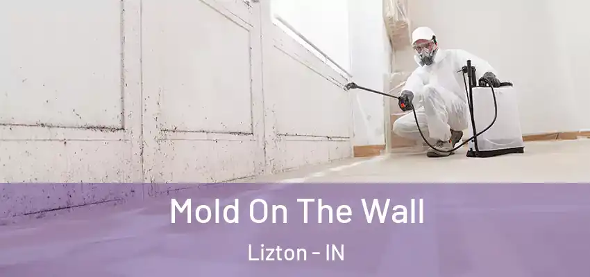 Mold On The Wall Lizton - IN