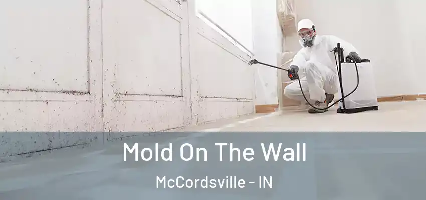  Mold On The Wall McCordsville - IN