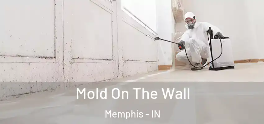  Mold On The Wall Memphis - IN