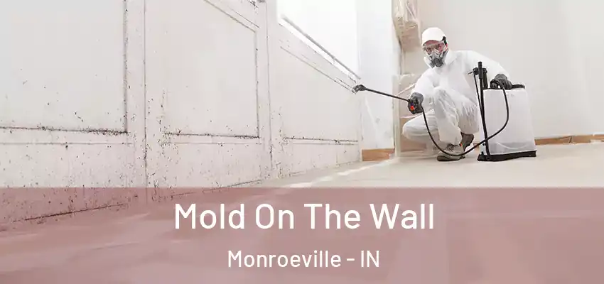  Mold On The Wall Monroeville - IN