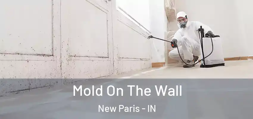  Mold On The Wall New Paris - IN